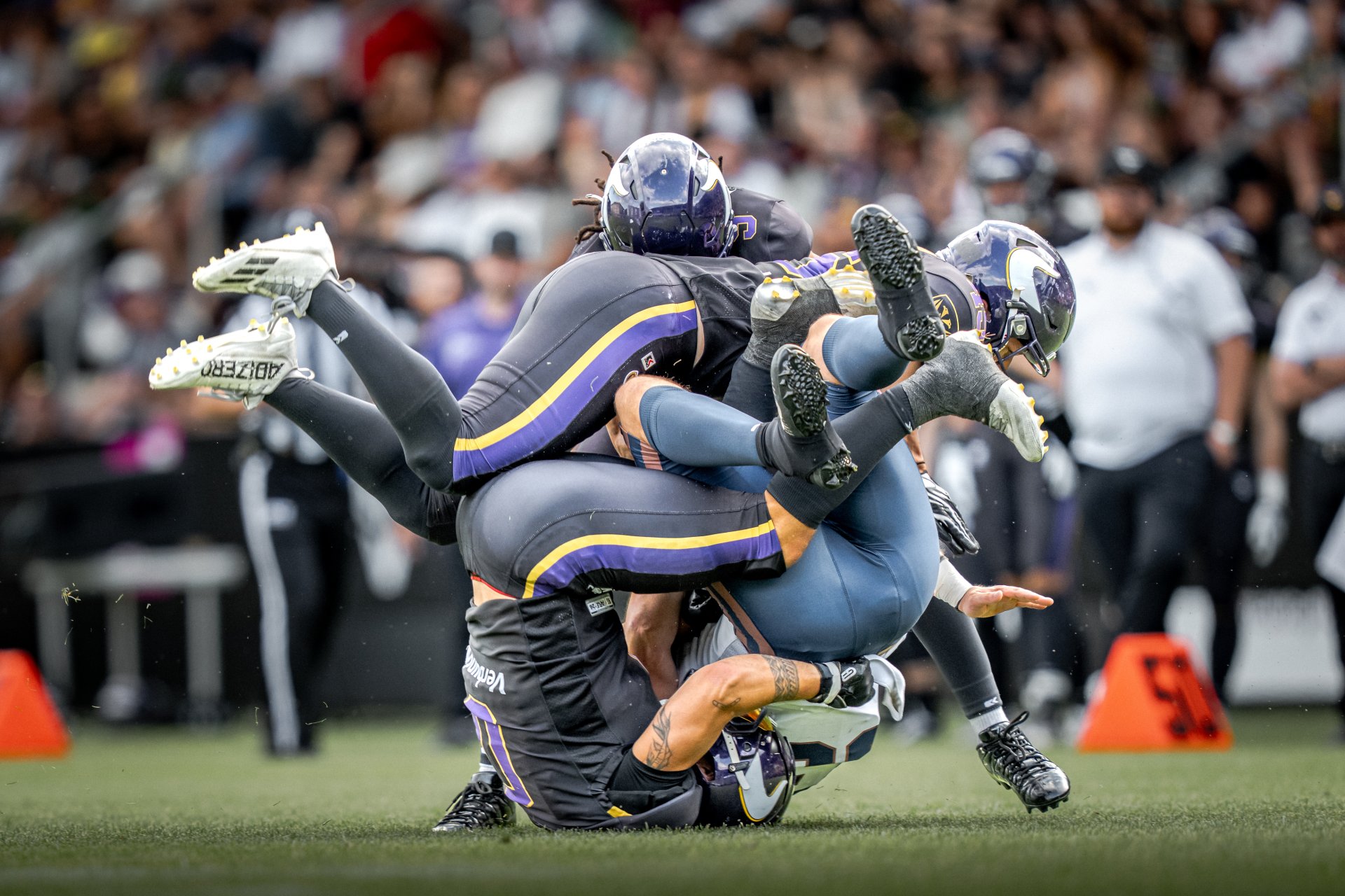 Bild zum Bericht „Vienna Vikings feiern Sieg gegen die Paris Lights“ – GRIPcapture